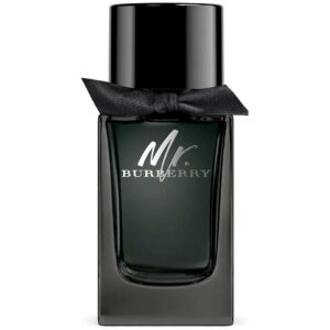 Mr.Burberry Eau de Parfum 100ml